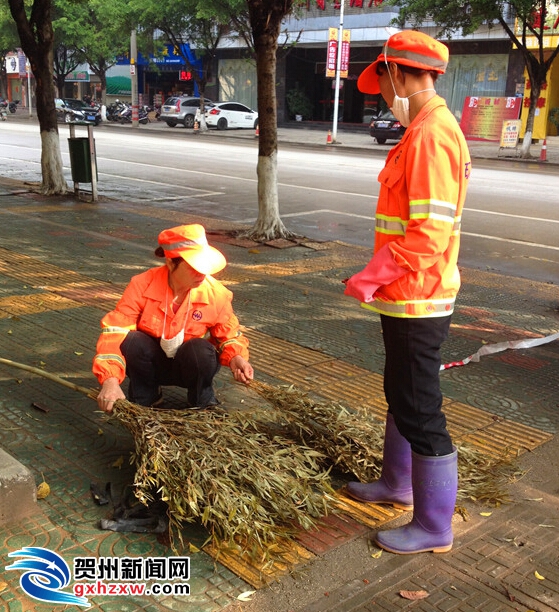 过年这几天由于垃圾清扫量大了很多,清洁工人们的扫把很快就要换新的